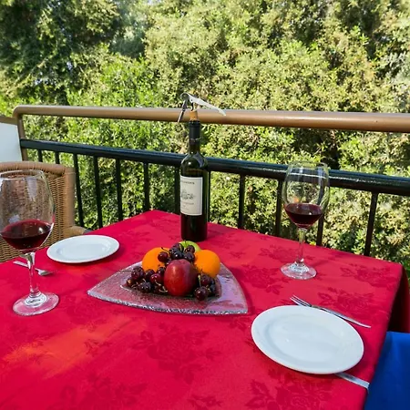 Hotel Fitosinn Geroskipou