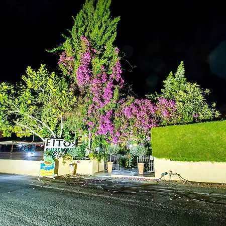 Fitosinn 2* Geroskipou